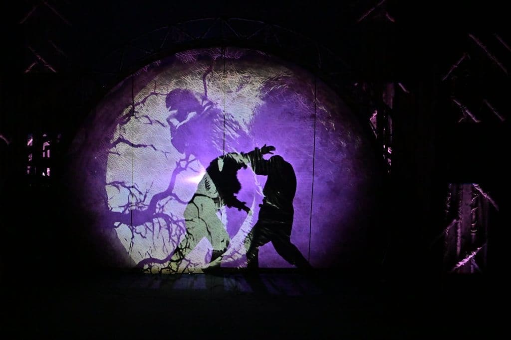 Фото спектакля 15