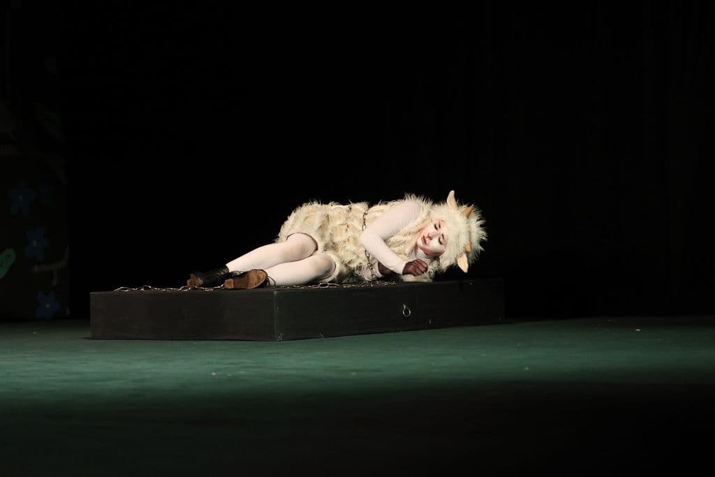 Фото спектакля 13