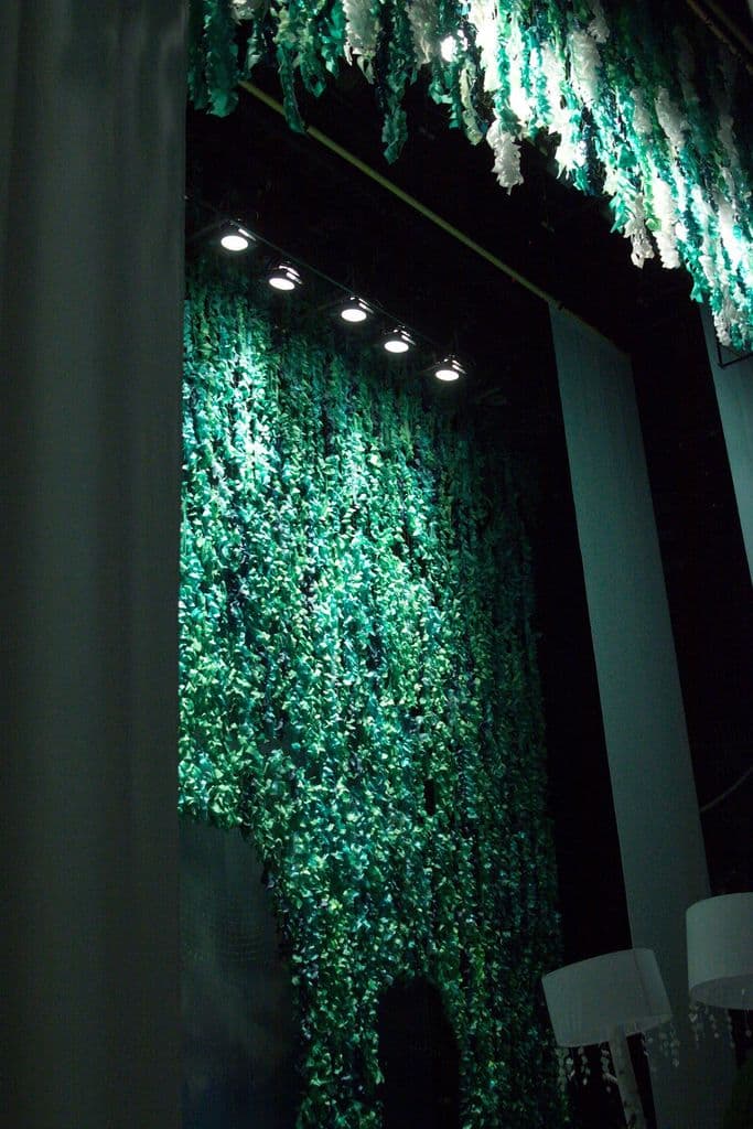 Фото новости 19