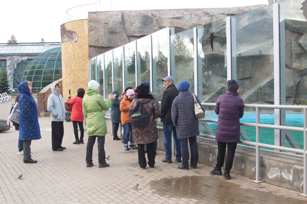 Фото новости 26