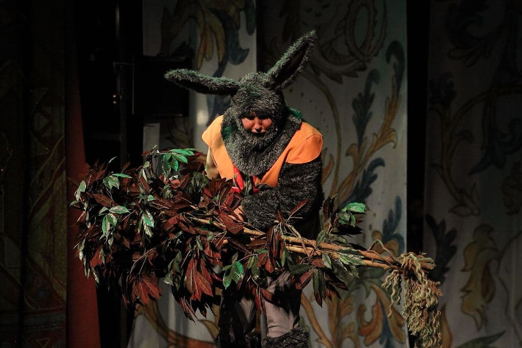 Фото спектакля 17